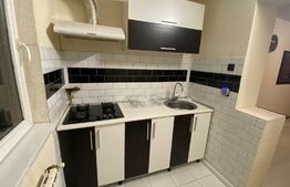 Garsoniera de 20 mp, mobilata si utilata, zona Pod Calvaria