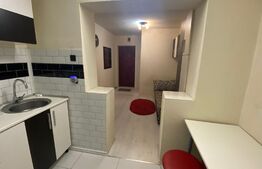 Garsoniera de 20 mp, mobilata si utilata, zona Pod Calvaria