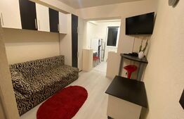 Garsoniera de 20 mp, mobilata si utilata, zona Pod Calvaria