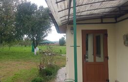  Oportunitate ! Casa unifamiliala pe un nivel,55 mp utili,teren 1495 mp, Jucu