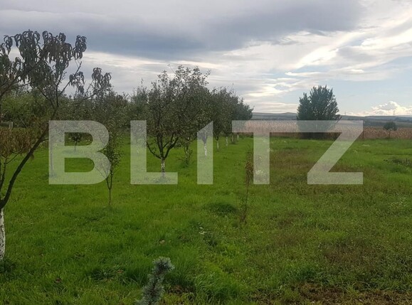 Casa de vânzare 2 camere Jucu - 108377CV | BLITZ Cluj-Napoca | Poza6