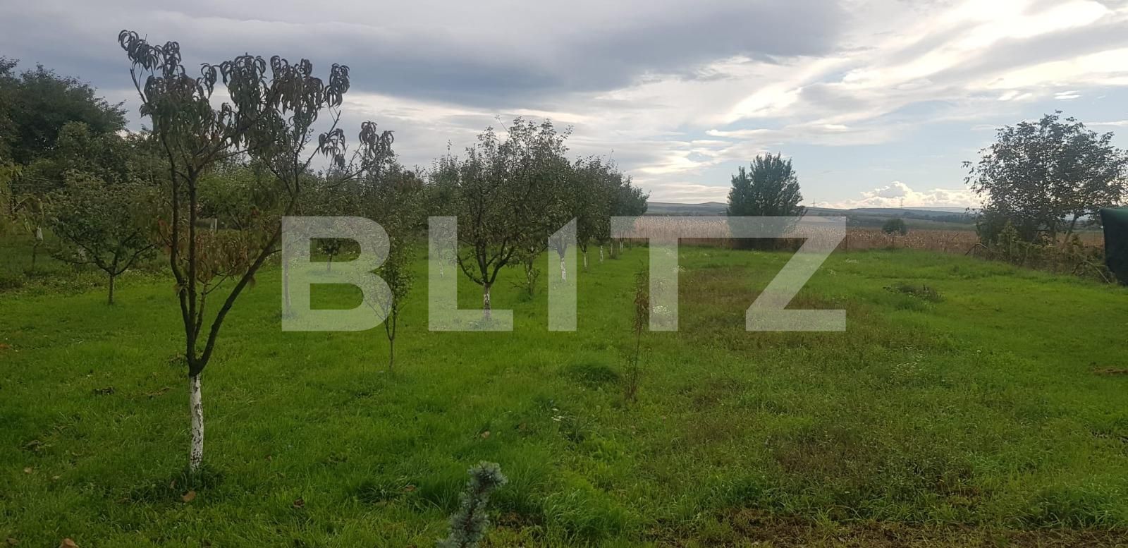 Casa de vânzare 2 camere Jucu - 108377CV | BLITZ Cluj-Napoca | Poza6