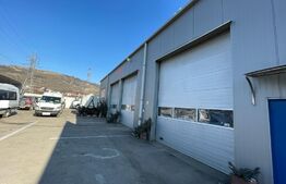 Service Auto si Tir, 3 posturi, Bulevardul Muncii
