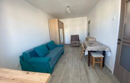 Garsoniera, 27mp, prima inchiriere, pet friendly, Zona UMF