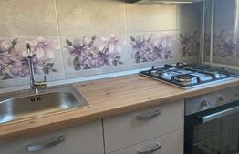 Garsoniera, 27mp, prima inchiriere, pet friendly, Zona UMF