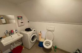 Imobil spatiu comercial, 115mp utili, zona Centru Istoric