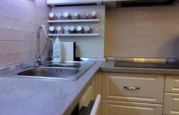 Apartament 3 camere, LUX, parcare, curte privata, zona Ioan Rus