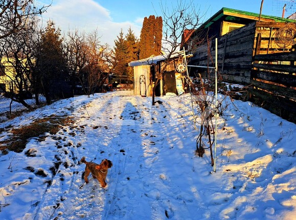 Teren de vânzare Andrei Mureşanu - 108581TV | BLITZ Cluj-Napoca | Poza2