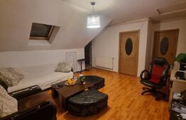 Apartament  2  camere, 43mp utili, zona Florilor