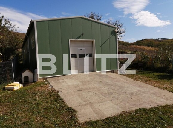 Spațiu industrial de vânzare Exterior Est - 108623SVI | BLITZ Cluj-Napoca | Poza2