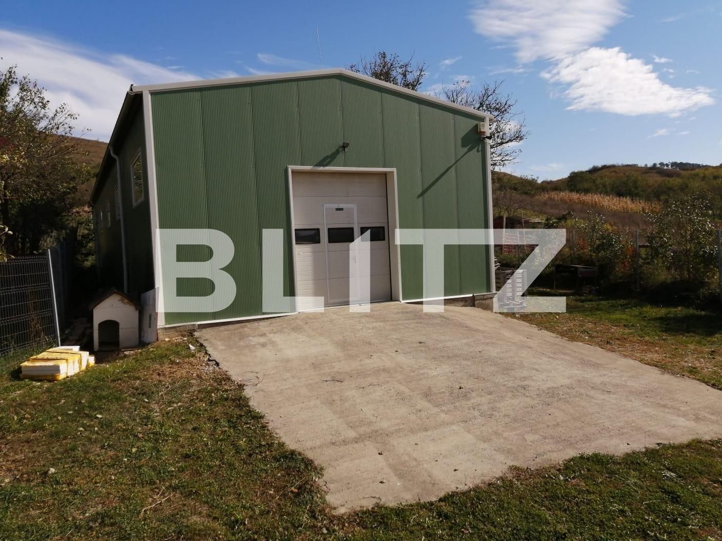 Spațiu industrial de vânzare Exterior Est - 108623SVI | BLITZ Cluj-Napoca | Poza2
