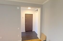 2 camere, 46 mp,renovat ,  zona strazii Herculane !