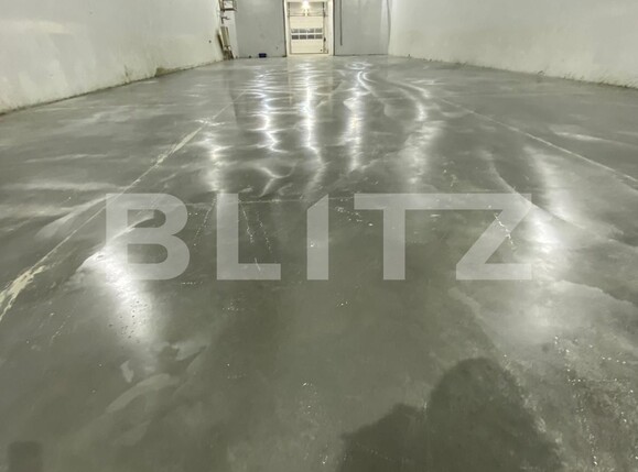 Spațiu industrial de închiriat Baciu - 108662SII | BLITZ Cluj-Napoca | Poza5