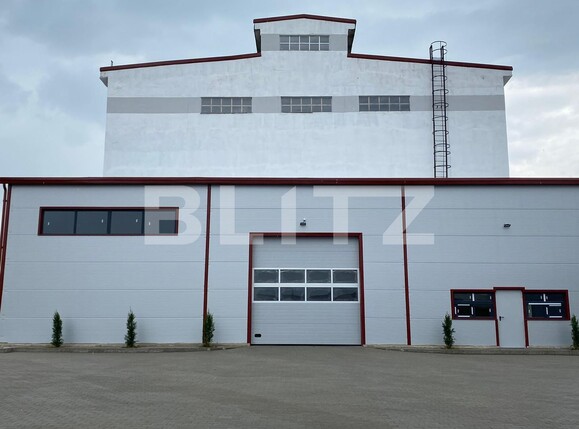 Spațiu industrial de închiriat Baciu - 108662SII | BLITZ Cluj-Napoca | Poza1