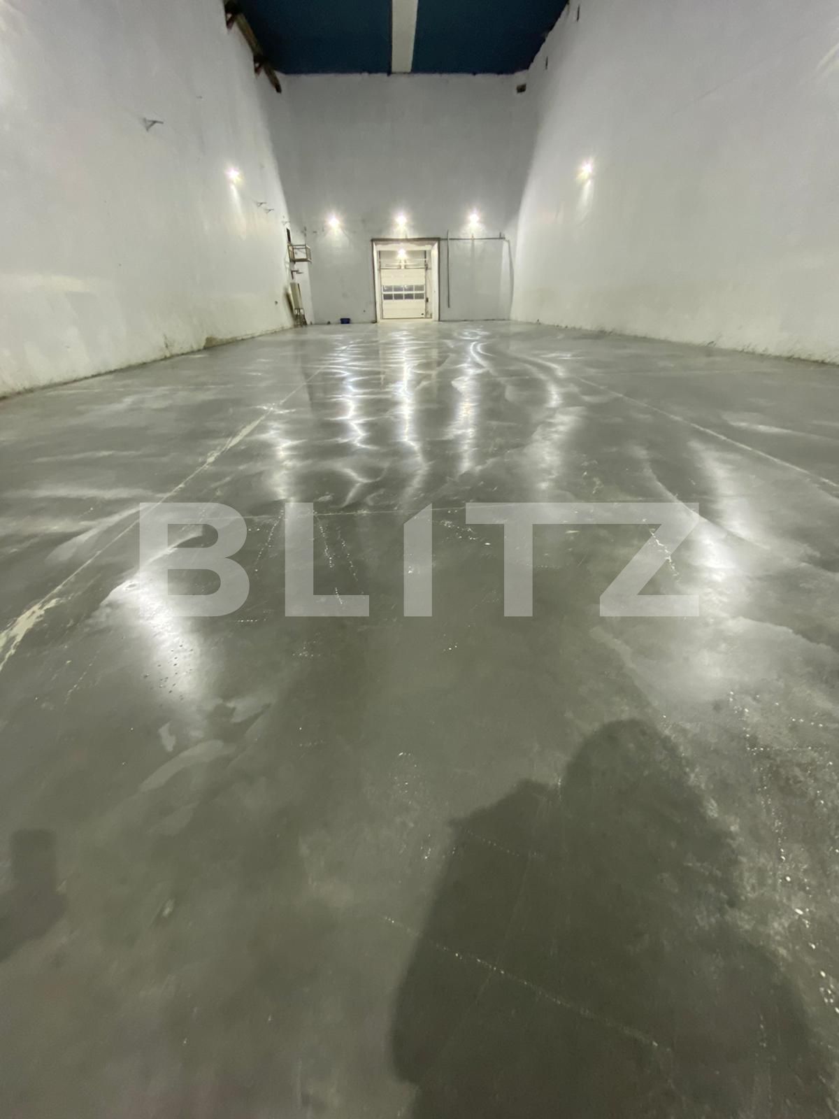 Spațiu industrial de închiriat Baciu - 108662SII | BLITZ Cluj-Napoca | Poza5