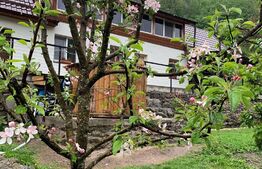 Casa de vacanta in zona Tarnita