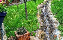 Casa de vacanta in zona Tarnita