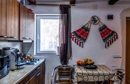 Casa de vacanta in zona Tarnita