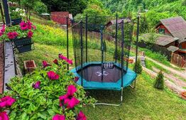 Casa de vacanta in zona Tarnita