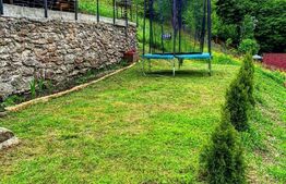 Casa de vacanta in zona Tarnita