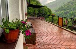 Casa de vacanta in zona Tarnita