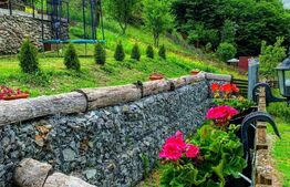 Casa de vacanta in zona Tarnita