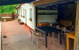 Casa de vacanta in zona Tarnita