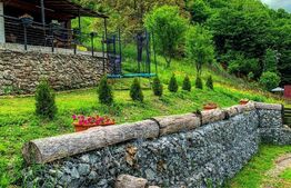 Casa de vacanta in zona Tarnita