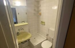 Apartament 4 camere, 90 mp, pet-friendly, zona Piata Cipariu