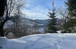 Casa de vanzare la Muntele Rece, teren de 2500 mp 