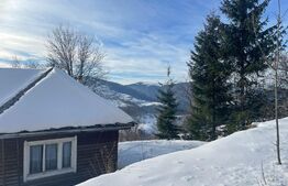 Casa de vanzare la Muntele Rece, teren de 2500 mp 