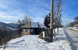 Casa de vanzare la Muntele Rece, teren de 2500 mp 