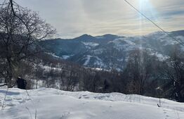 Casa de vanzare la Muntele Rece, teren de 2500 mp 