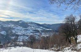 Casa de vanzare la Muntele Rece, teren de 2500 mp 