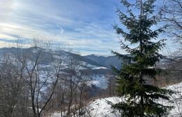 Casa de vanzare la Muntele Rece, teren de 2500 mp 