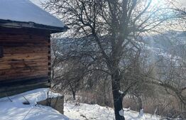 Casa de vanzare la Muntele Rece, teren de 2500 mp 