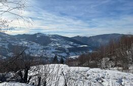 Teren de vanzare la Muntele Rece 