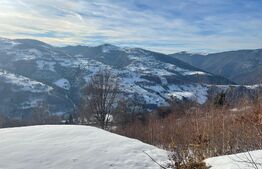 Teren de vanzare la Muntele Rece 