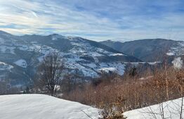 Teren de vanzare la Muntele Rece 