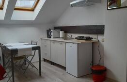 Garsoniera de inchiriat ULTRACENTRAL