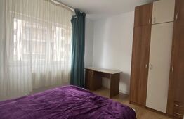 Apartament cu 2 camere, pet friendly in Beta Residence 