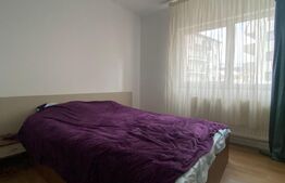 Apartament cu 2 camere, pet friendly in Beta Residence 
