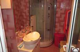 Vanzare 1 camera, 30 mp, ideal pentru investitie! Zona Muncitorilor!