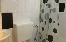 Apartament cu 2 camere, la casa, 60 mp, decomandat, zona strazii Artelor!