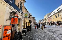 Spatiu comercial 115mp utili, chirie generata lunar, pretabil de investitie, Centru Istoric