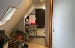 Spatiu comercial 115mp utili, chirie generata lunar, pretabil de investitie, Centru Istoric