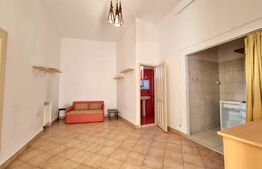 Oportunitate de investitie! 4 apartamente de o camera cu o suprafata totala de 155mp in punctul 0 a Clujului! Zona Primarie- Casa de Cultura!