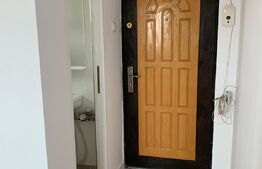 Garsonieră renovată, 11 mp, Gheorgheni, bloc izolat