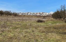 Teren Intravilan Voronet 1000mp