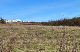 Teren Intravilan Voronet 1000mp